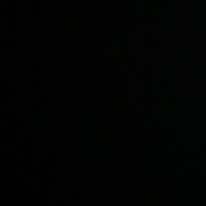 Meet your Posher, Owen